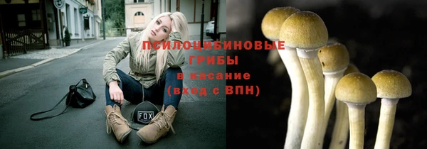 Альфа ПВП Горно-Алтайск