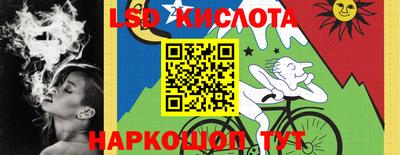 индика Бийск