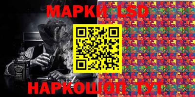 индика Бийск