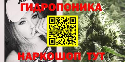 спайс Гусев