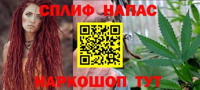 индика Беслан