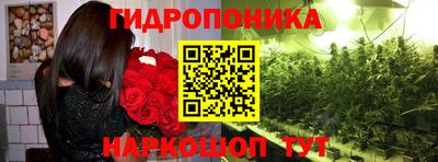 СК Гусь-Хрустальный