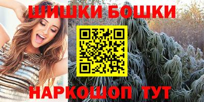 индика Бийск