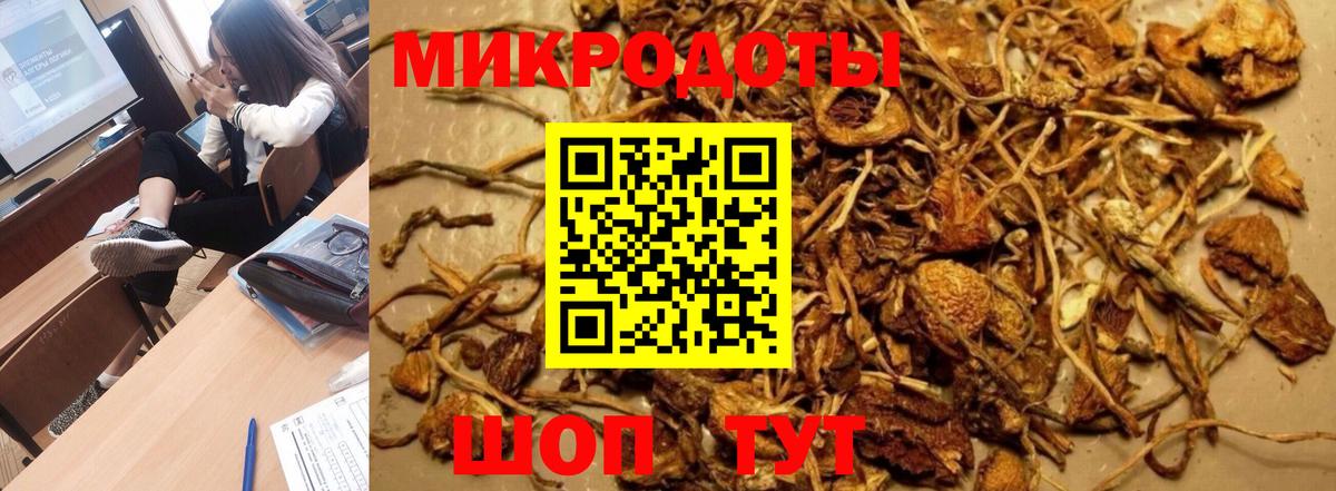 Псилоцибиновые грибы Cubensis Джанкой