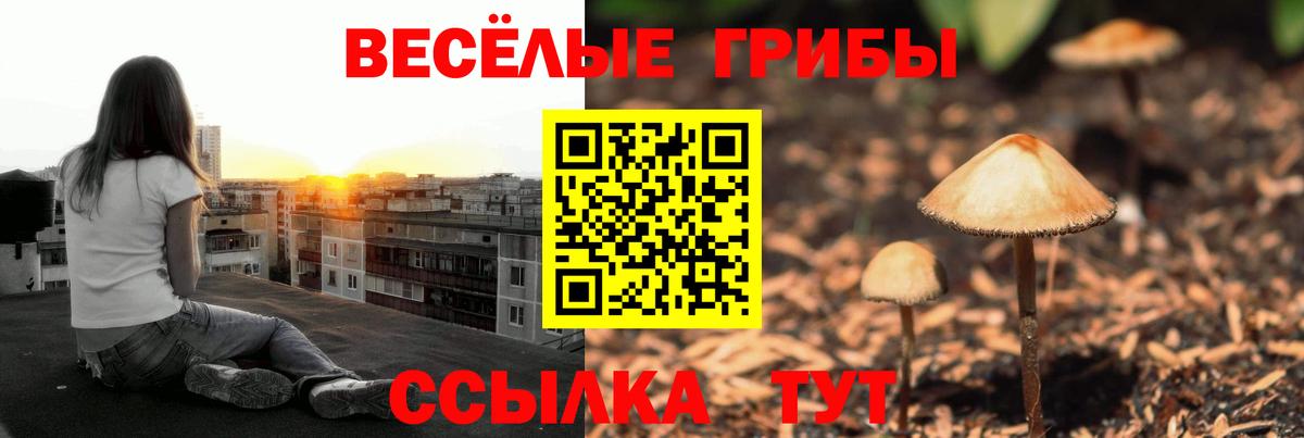 Джанкой  Галлюциногенные грибы мухоморы  Вход с VPN 