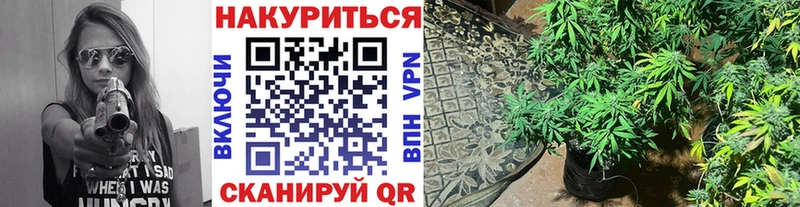 сколько стоит Джанкой Бошки Шишки конопля